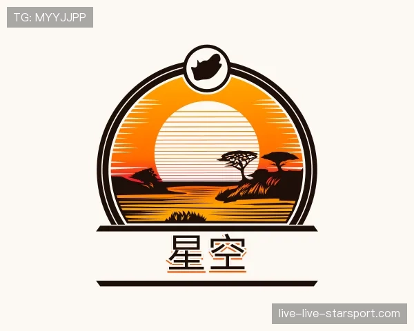 发现星空世界杯